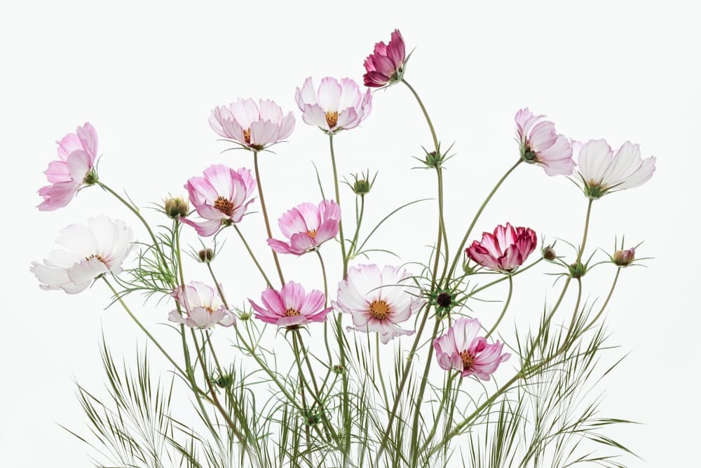 Late summer by Nel Talen — canvas wall art