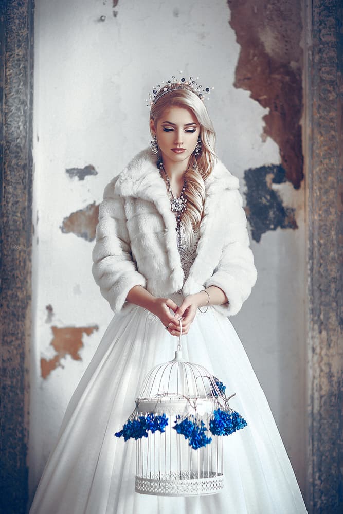 Elegant Winter Queen by Ruslan Bolgov — canvas wall art