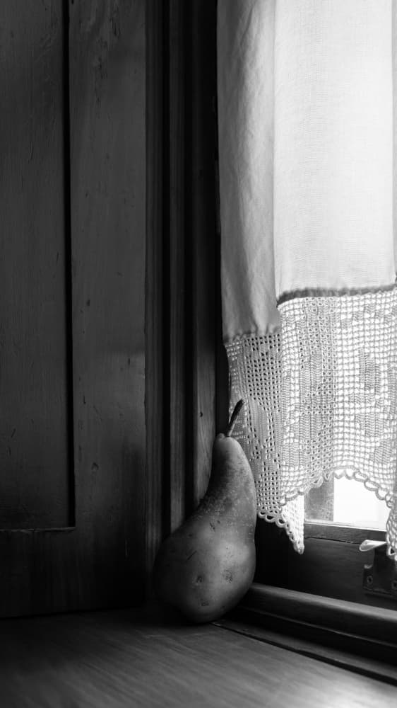 Pear By The Window by Montserrat Alviani — canvas wall art