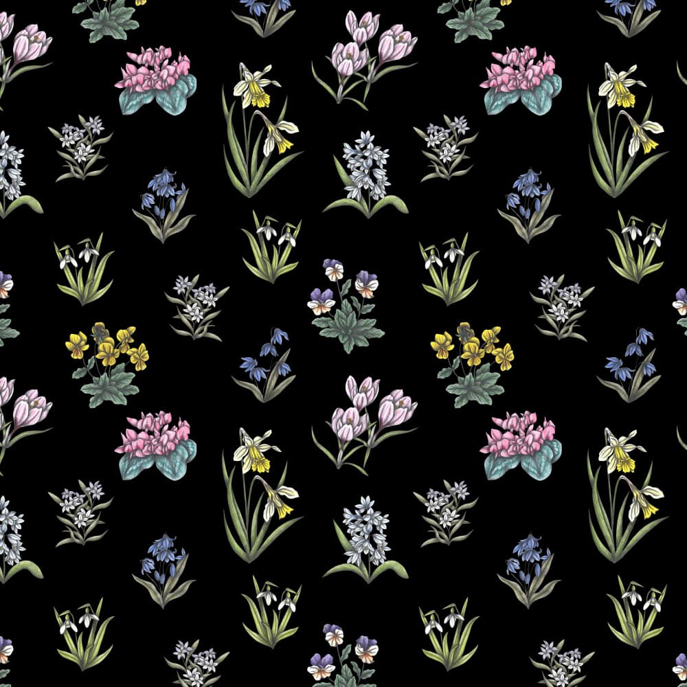 Vibrant Spring Botanicals by Cecilia Battaini — canvas wall art