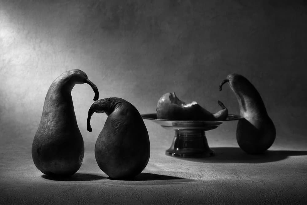 Curious Pears Still Life by Victoria Glinka — canvas wall art