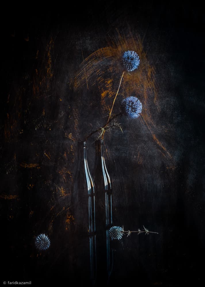 Moody Thistle Still Life by Farid Kazamil — canvas wall art