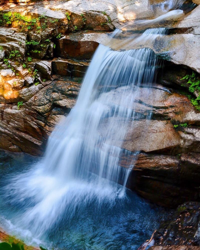 Serene Forest Waterfall by Del Mundo Imagery — canvas wall art