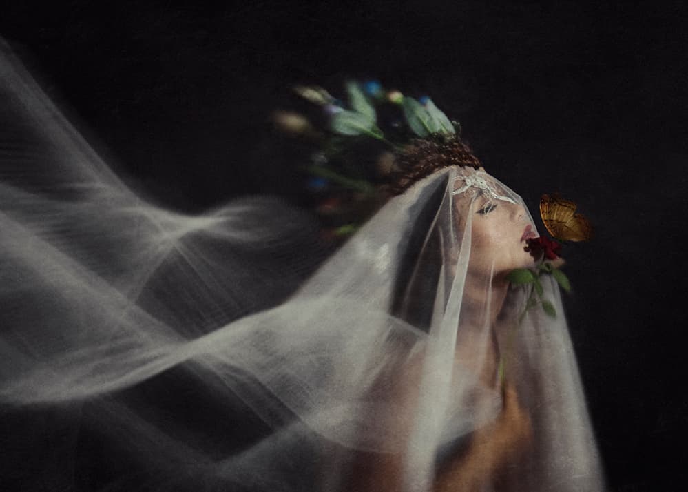 Butterfly Kiss Bride by Djayent Abdillah — canvas wall art