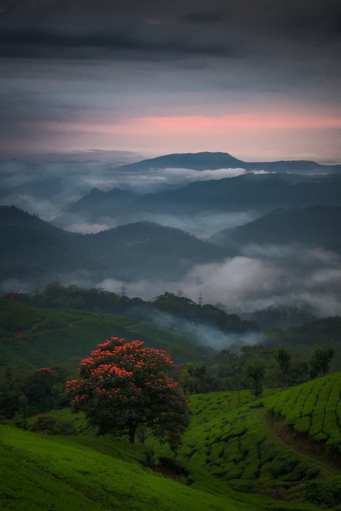 Colours of Paradise by SANDEEP MATHUR — canvas wall art