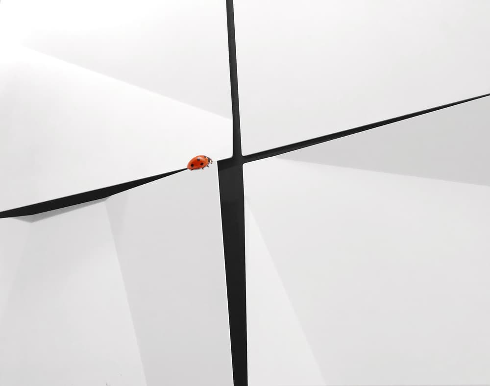 Red Ladybug Crossing Lines by Ivan Huang — canvas wall art