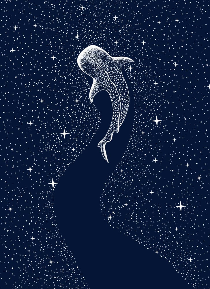 Whale Shark Cosmic Journey by Alirıza ÇAKIR — canvas wall art