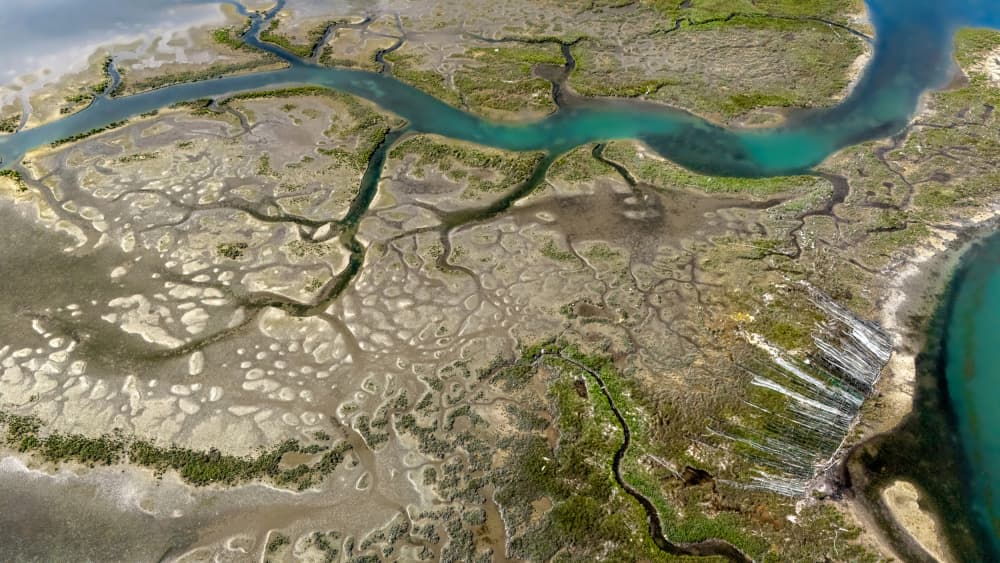 Winding River Delta by Primož Kožuh — canvas wall art