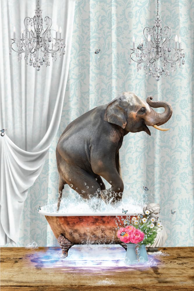 Whimsical Elephant Bath by Sue Skellern — canvas wall art