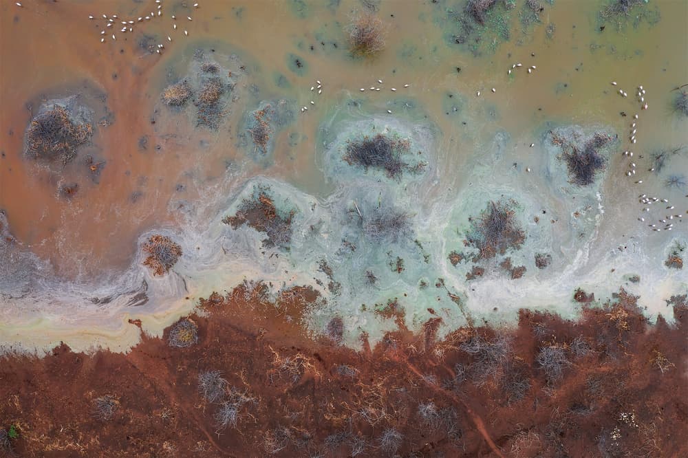 Aerial Wetland Patterns by Roberto Marchegiani — canvas wall art