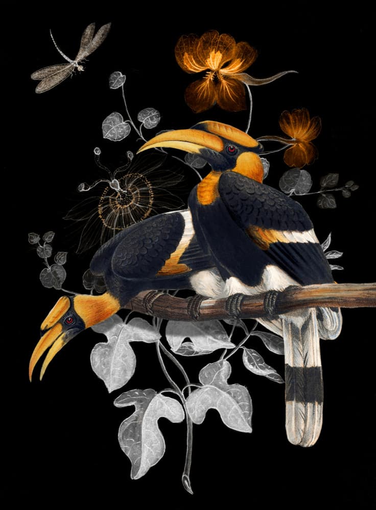 Golden Hornbills Dark Botanical by Marja van den Hurk — canvas wall art