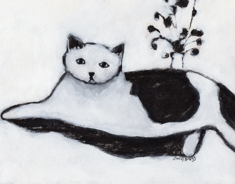 Relaxed Black White Cat by Janel Bragg — canvas wall art