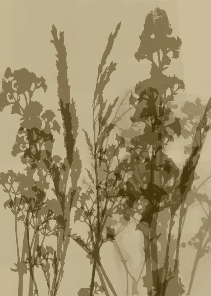 Delicate Botanical Silhouettes by Dina Dankers — canvas wall art