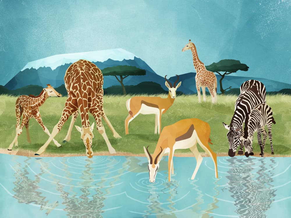 Savannah by Goed Blauw — canvas wall art