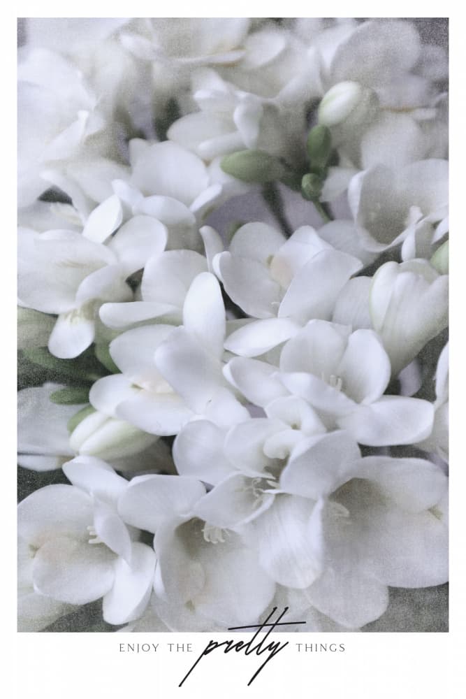 Elegant White Flowers by Rosana Laiz Blursbyai — canvas wall art