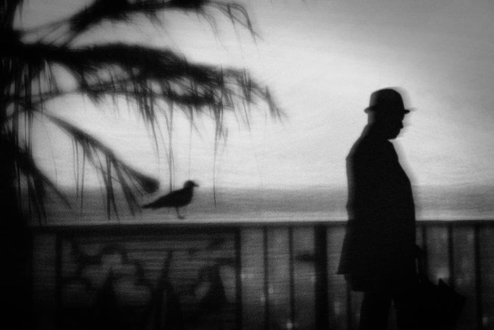 Noir Coastal Wanderer by Teruhiko Tsuchida — canvas wall art