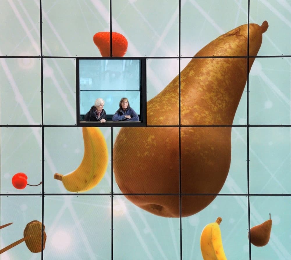 Women and Giant Fruit by Huib Limberg — canvas wall art