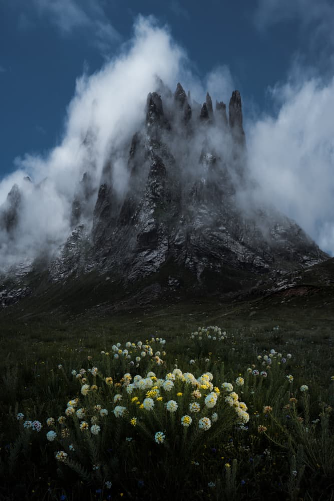 Misty Mountain Flowers by Simoon — canvas wall art