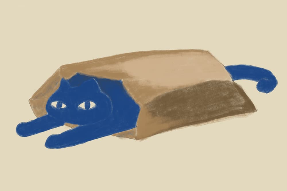 Blue Cat In A Bag by The Art Concept — canvas wall art