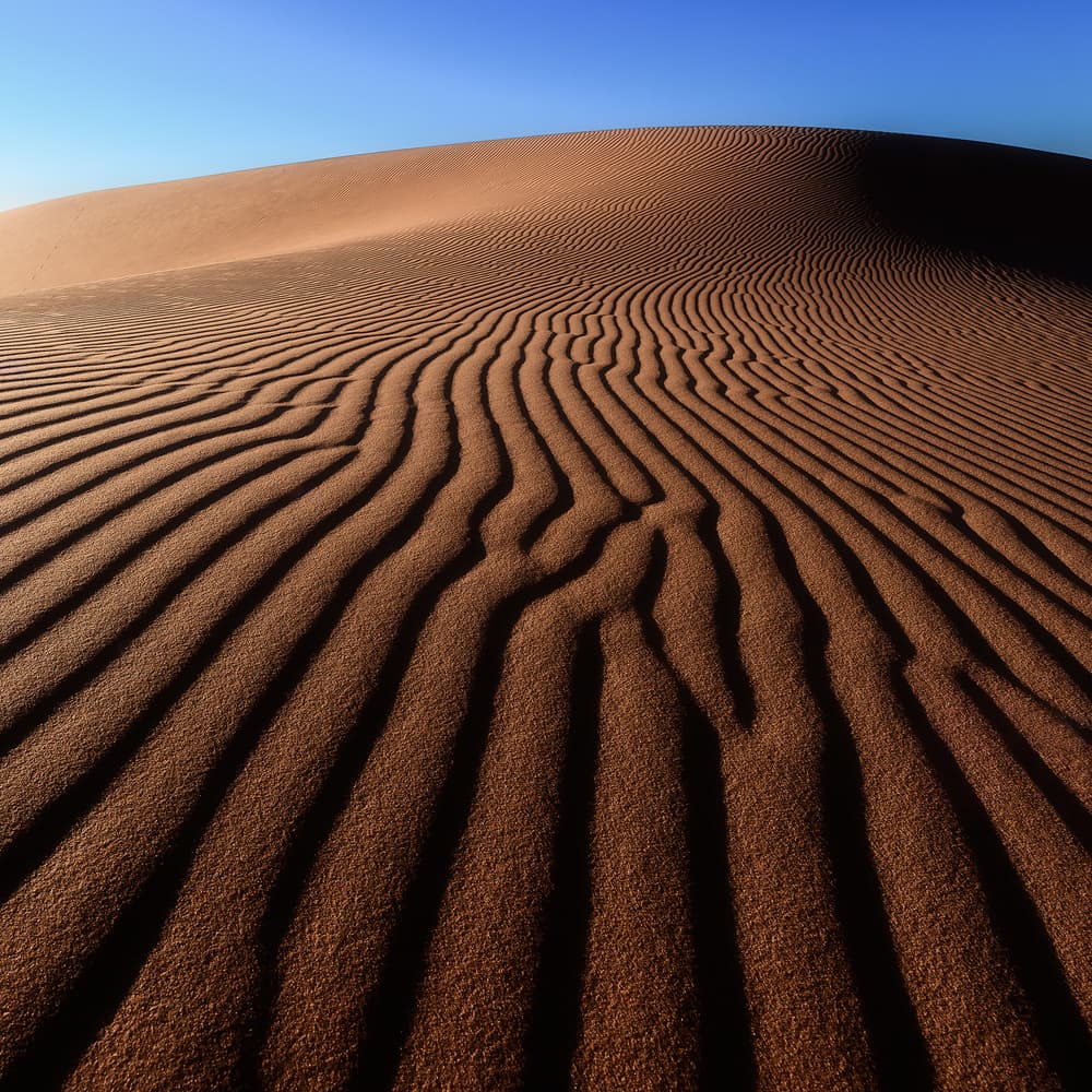 Desert Sand Waves by Rostovskiy Anton — canvas wall art