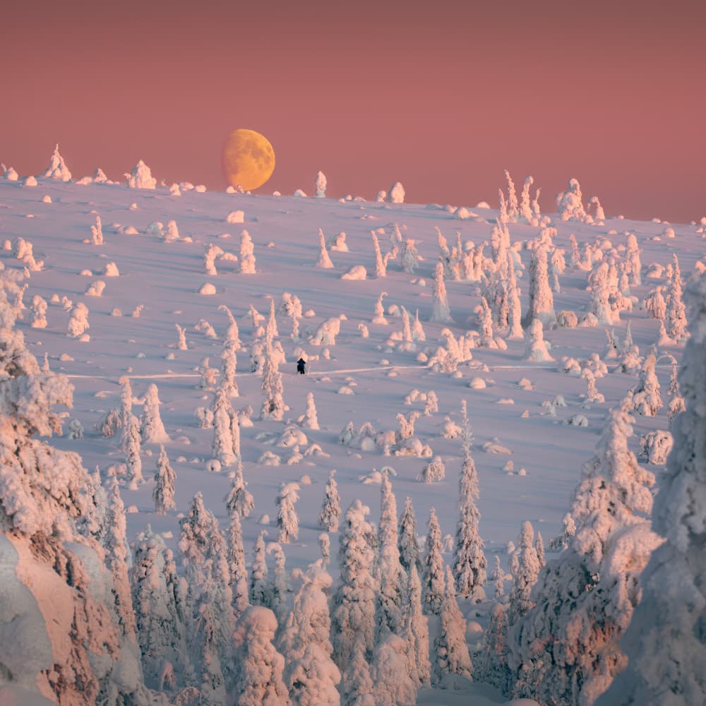 Pink Sky Winter Moon by Haim Rosenfeld — canvas wall art