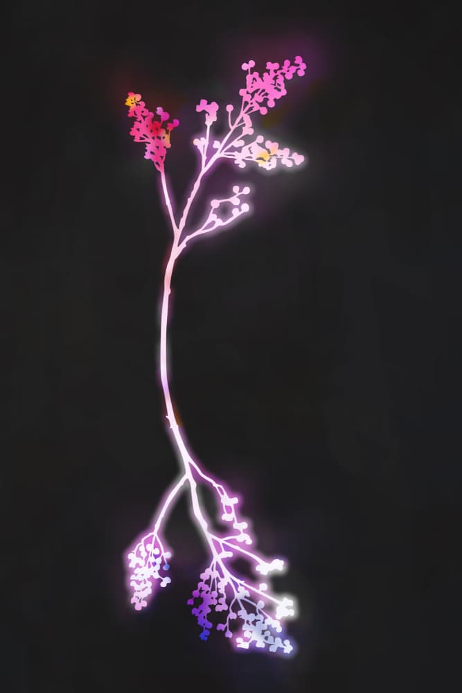 Neon Botanical Glow by amini54 — canvas wall art