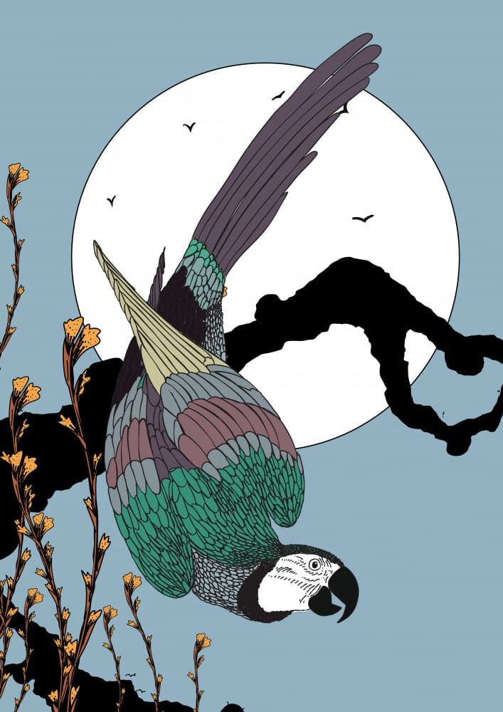 Upside Down Parrot Moonlight by Nicholas — canvas wall art