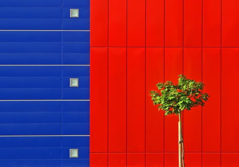 Vibrant Walls Green Tree by Jure Kravanja — canvas wall art