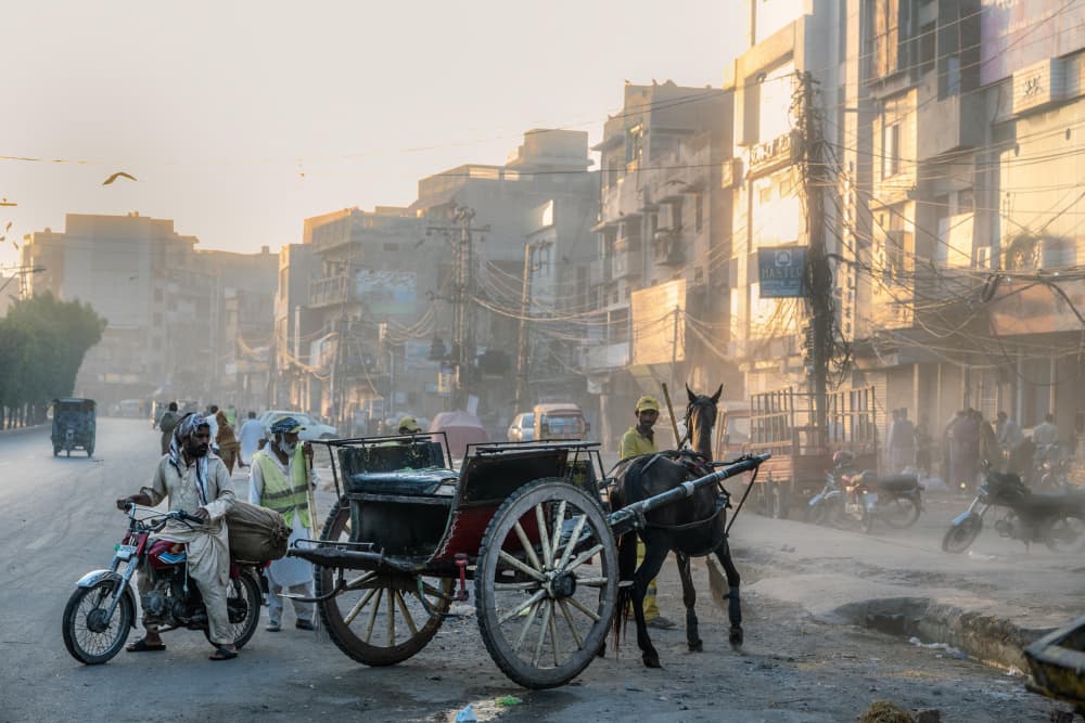 Dusty City Horse Cart by Trevor Cole — canvas wall art
