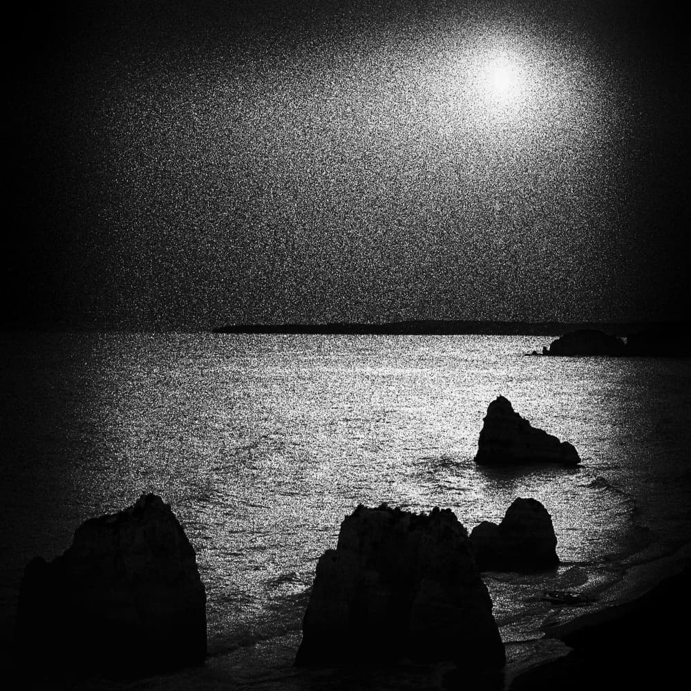 Moonlit Sea Rocks by Paulo Abrantes — canvas wall art