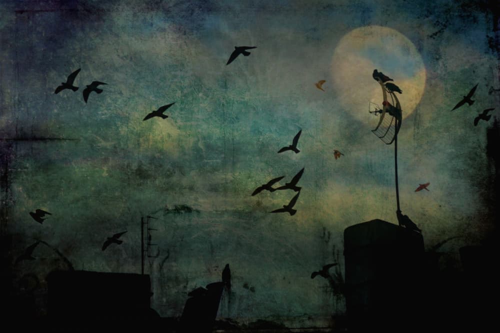 Dream On by Robert Fabrowski — canvas wall art