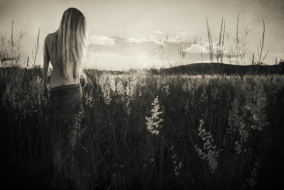 Woman In Golden Field by Charlaine Gerber — canvas wall art