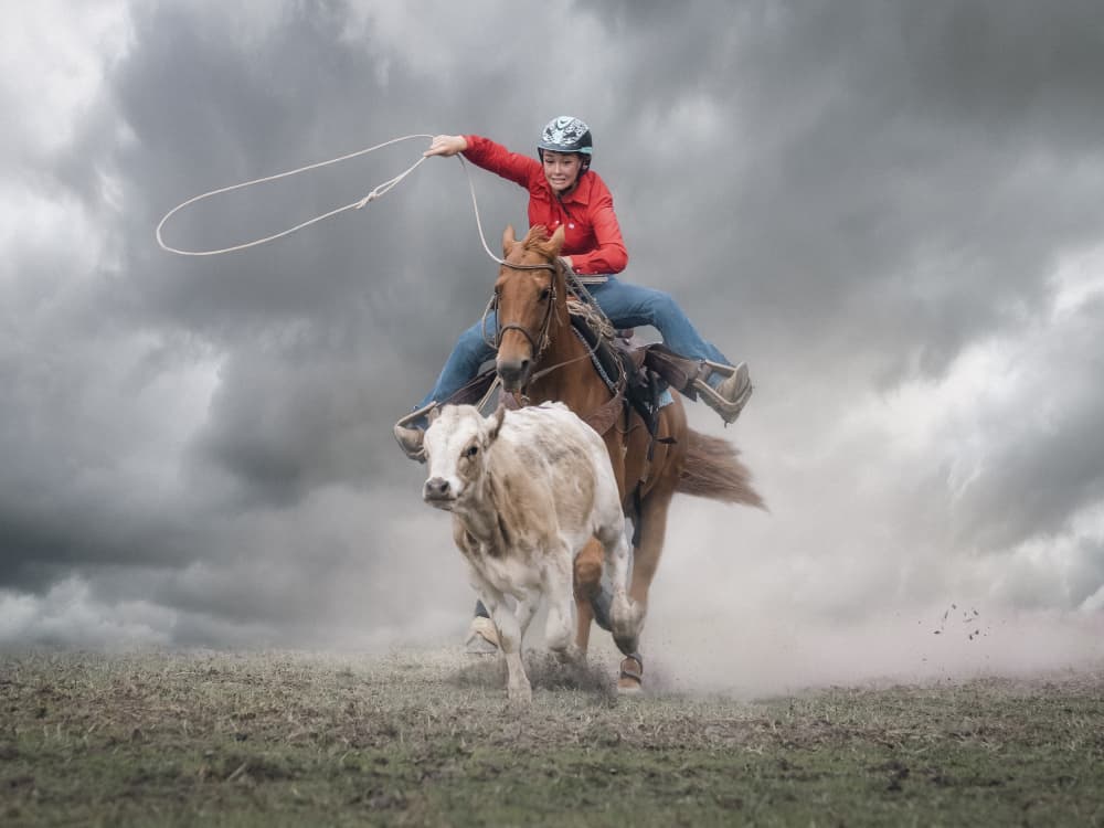 Cowgirl Roping Action by Frank Ma — canvas wall art