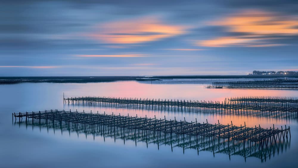 Twilight Oyster Farm by MingLun Tsai (蔡明倫) — canvas wall art