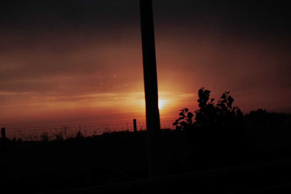 Dramatic Sunset Silhouette by Aimee Giles — canvas wall art