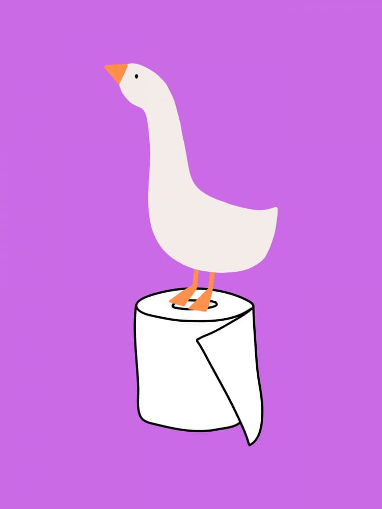 Whimsical Toilet Paper Goose by Jolly and Dash — canvas wall art