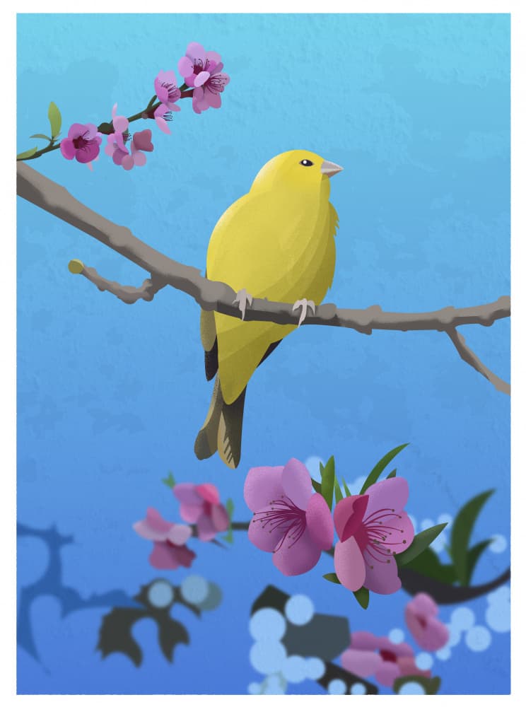 Yellow Bird Spring Bloom by Franco Caballero — canvas wall art