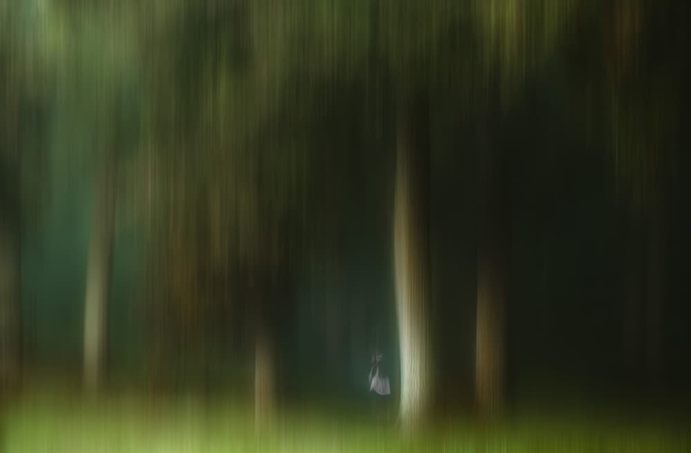 Ethereal Forest Figure by Hilda van der Lee — canvas wall art