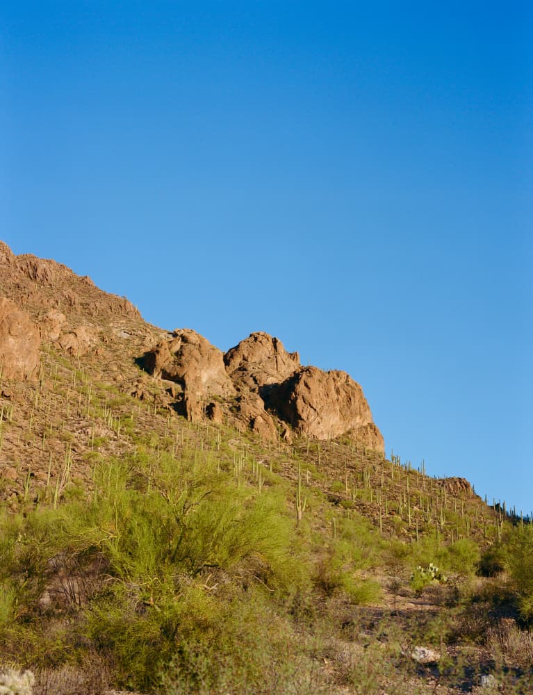 Sunny Desert Mountain View by Bethany Young — canvas wall art