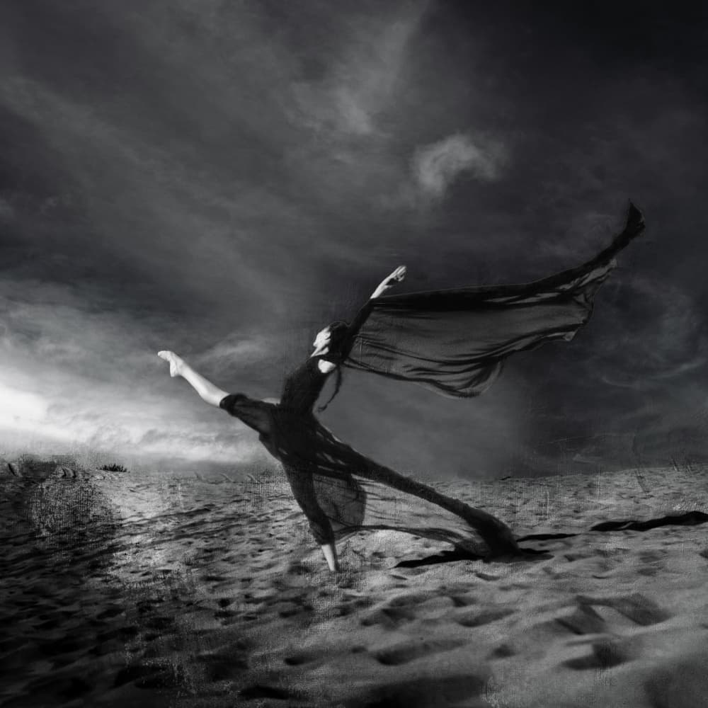 storm by Rachel Pansky — canvas wall art