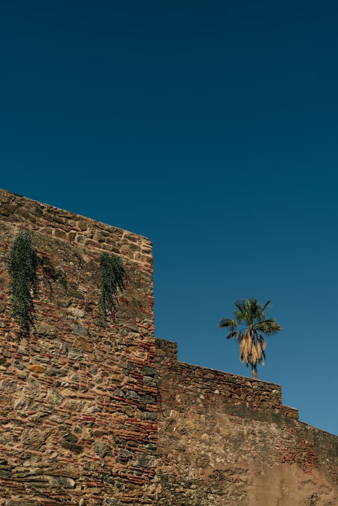 Sun-Warmed Stone Walls and a Lone Palm at the Alcazaba Fortress, Málaga, Spain by Aimee Giles — canvas wall art
