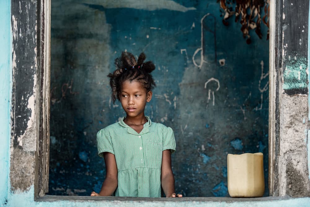 Thoughtful Girl at Window by Trevor Cole — canvas wall art