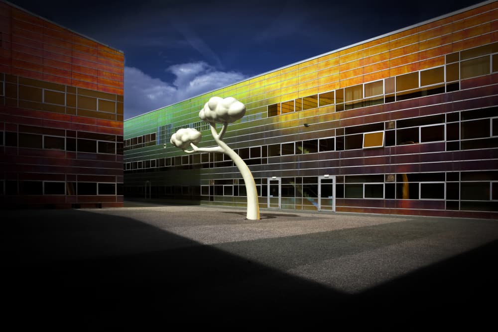 Colorful Building Abstract Tree by Anita Martin AnnaPileaFotografie — canvas wall art