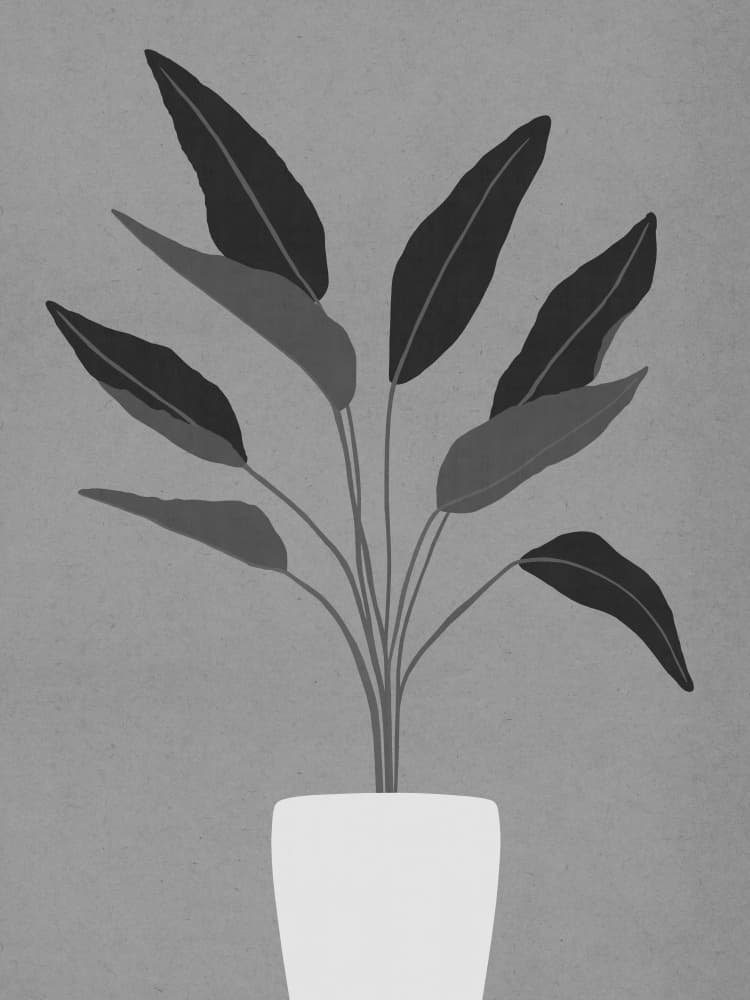 Modern Houseplant Illustration by Vitor Costa — canvas wall art