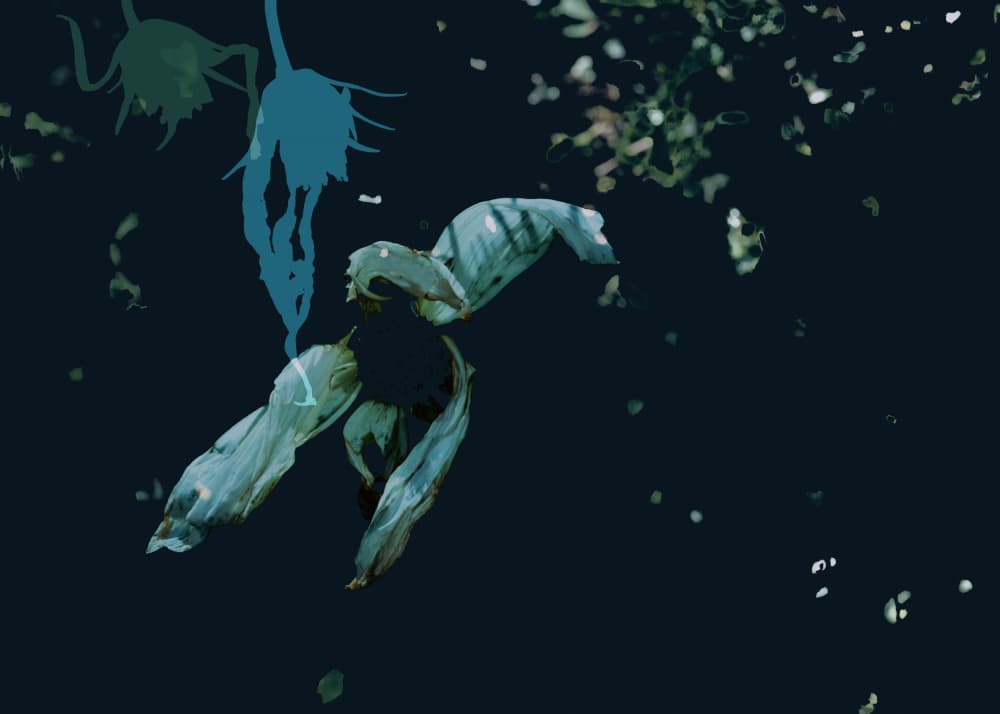 Dark Ethereal Flora by Miriam Stayte — canvas wall art