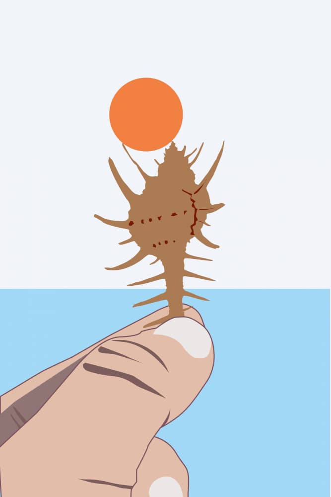 Hand Holding Seashell Sun by Vesuvik Designs — canvas wall art