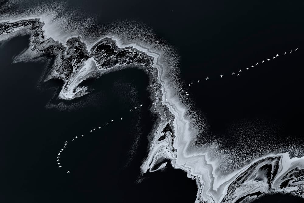 Birds Over Abstract Shore by Jun Zuo — canvas wall art