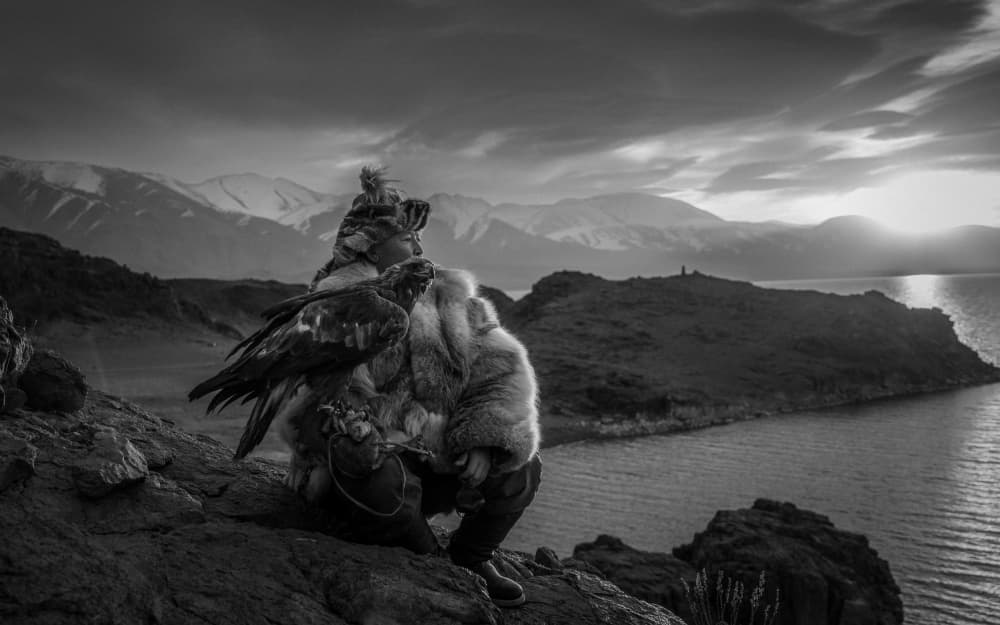 Eagle Hunter at Sunset by ADIREK M — canvas wall art