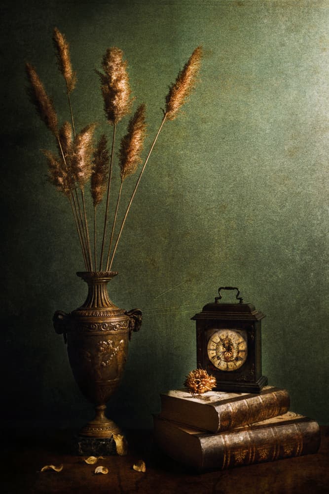 Moody Vintage Still Life by Stephen Clough — canvas wall art