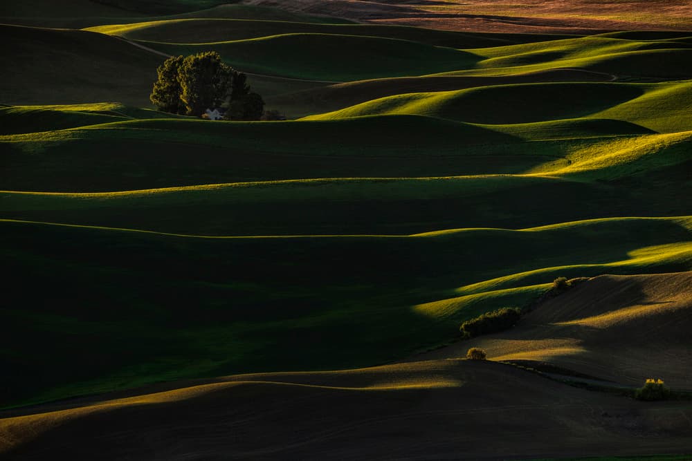 Golden Light Hills by Lydia Jacobs — canvas wall art